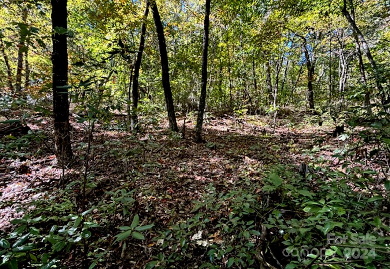 Riverbend Highlands - Land