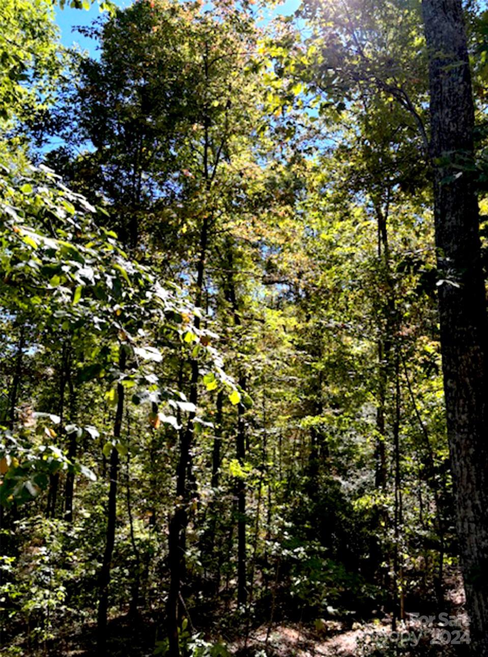 Riverbend Highlands - Land