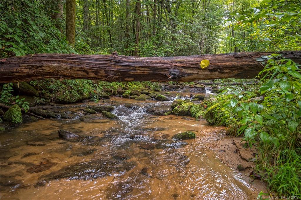 Rumbling Bald on Lake Lure - Residential