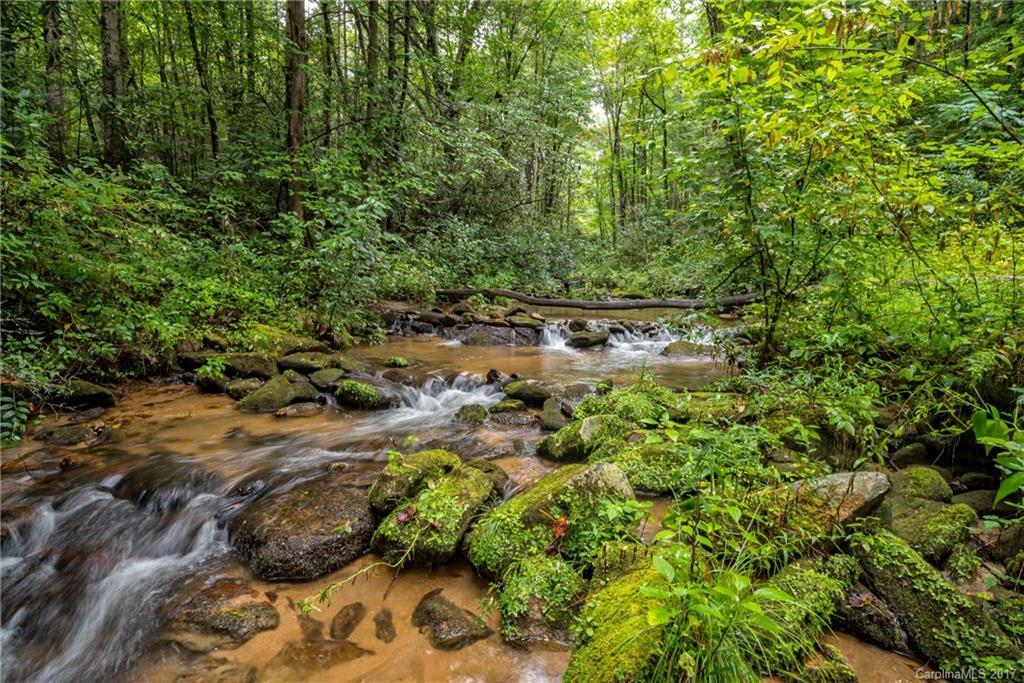Rumbling Bald on Lake Lure - Residential