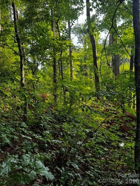 00000 Monticello Road