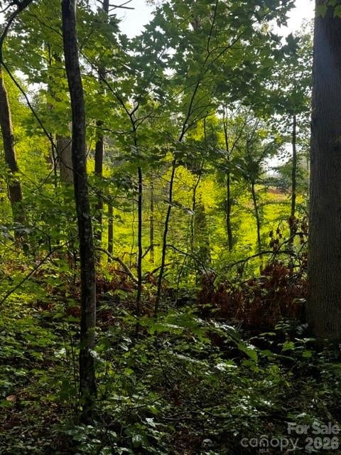 00000 Monticello Road