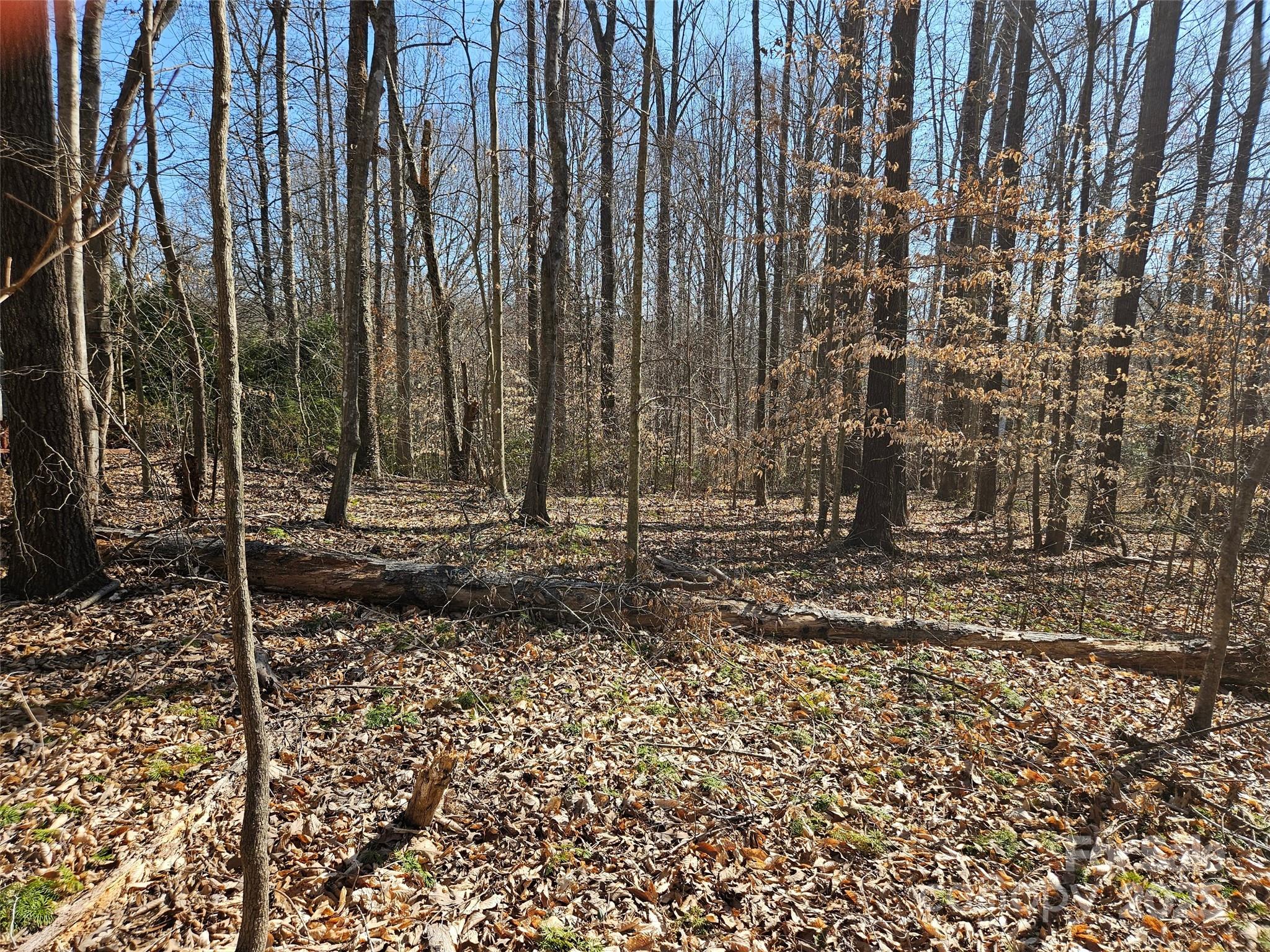 0 General Griffith Circle 35 & 37