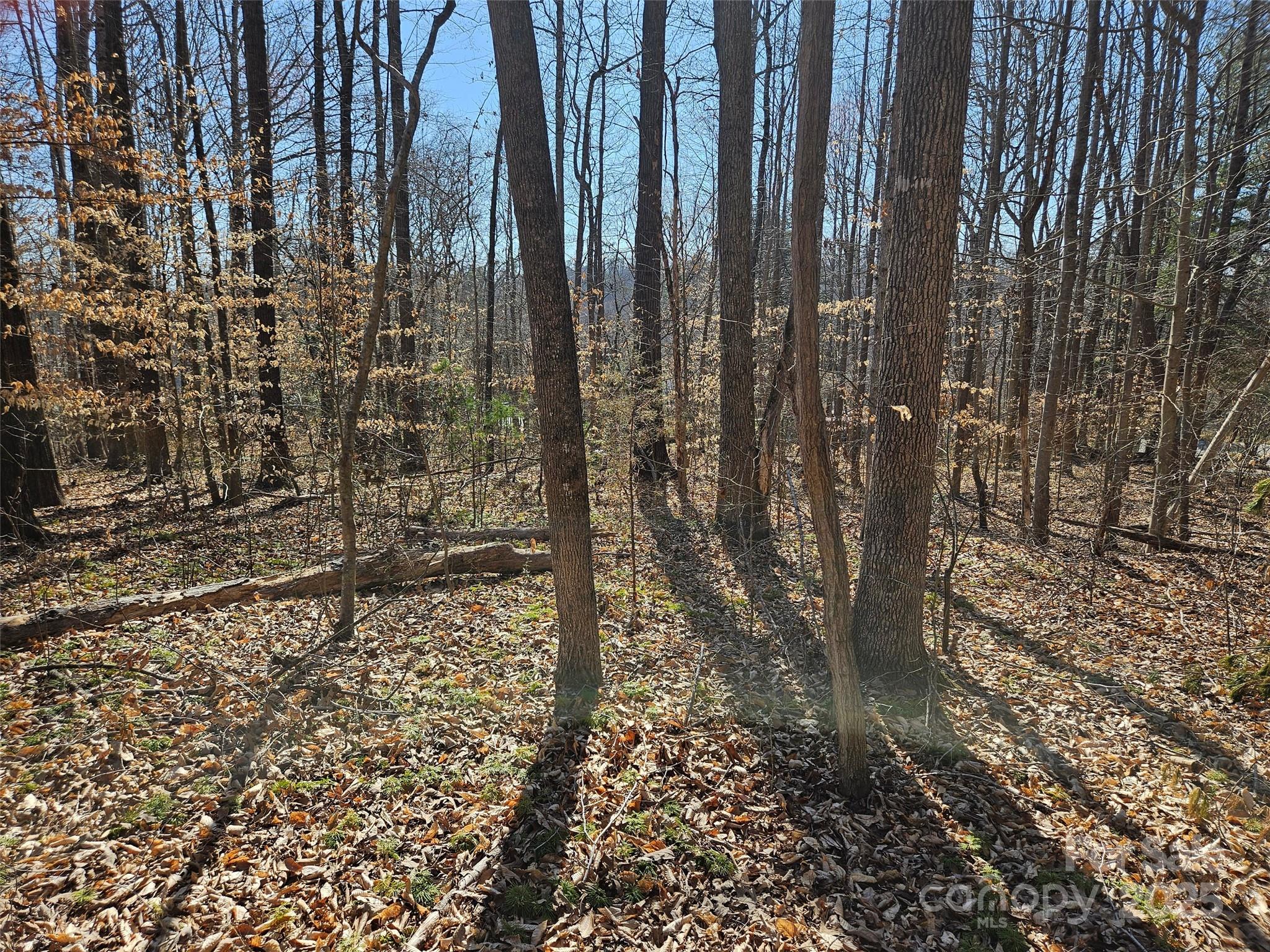 0 General Griffith Circle 35 & 37