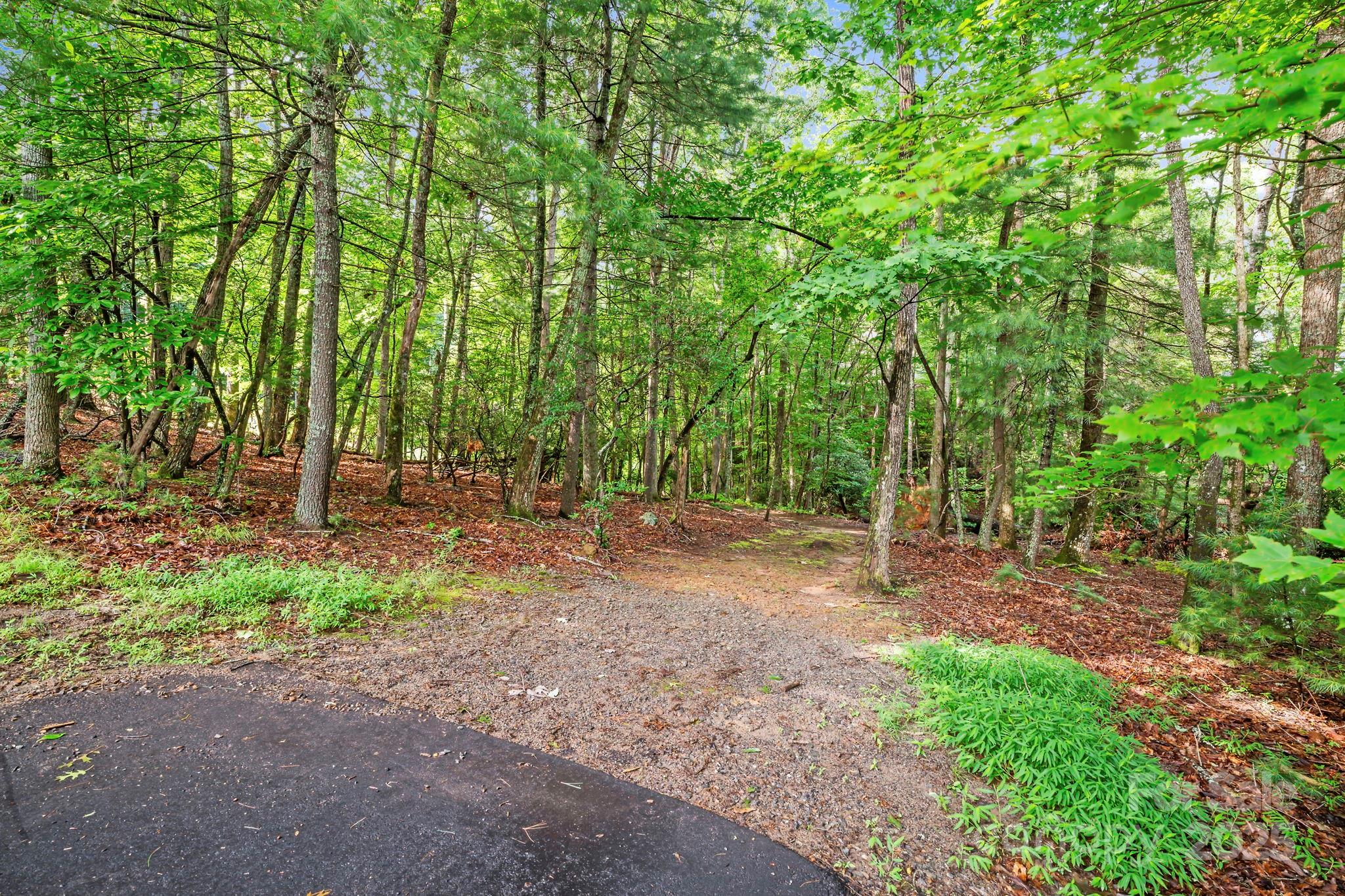 52 Dividing Ridge Trail