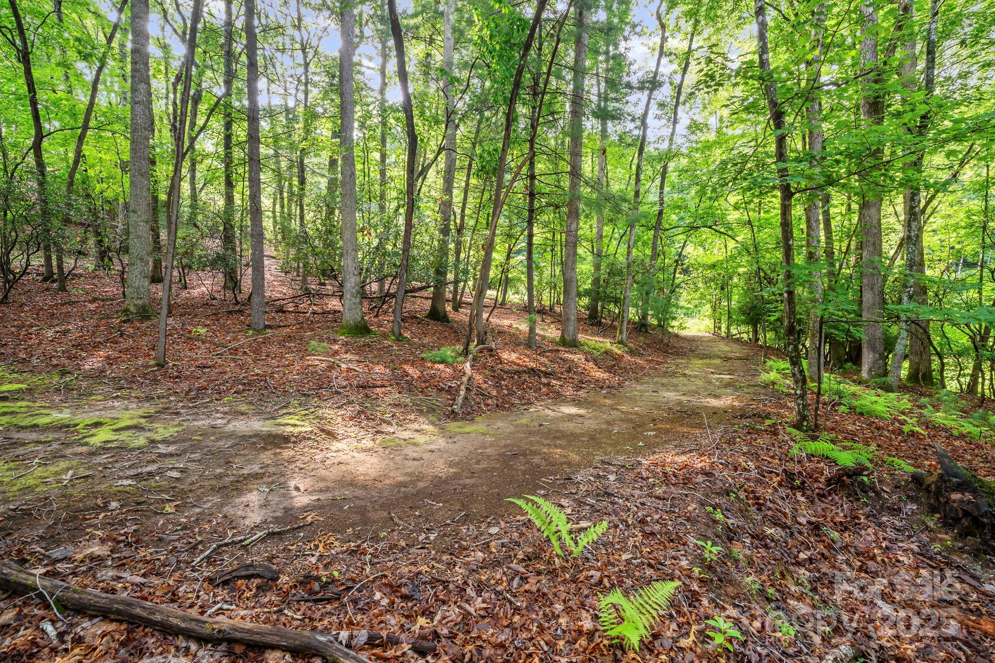 52 Dividing Ridge Trail