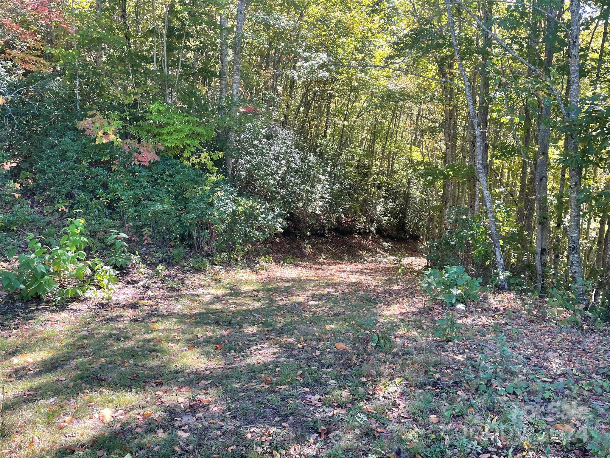 Balsam Mountain Preserve - Land