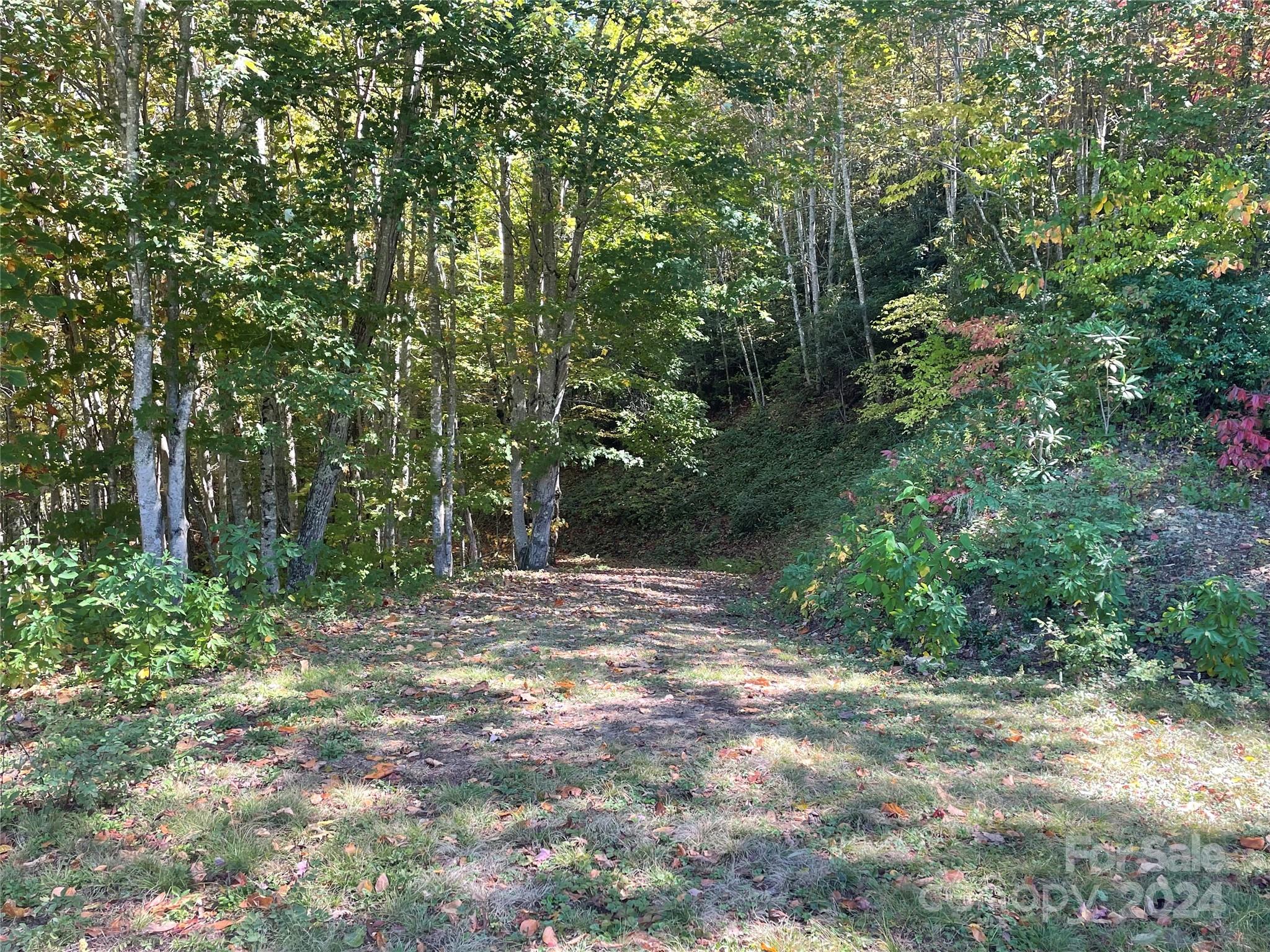 Balsam Mountain Preserve - Land