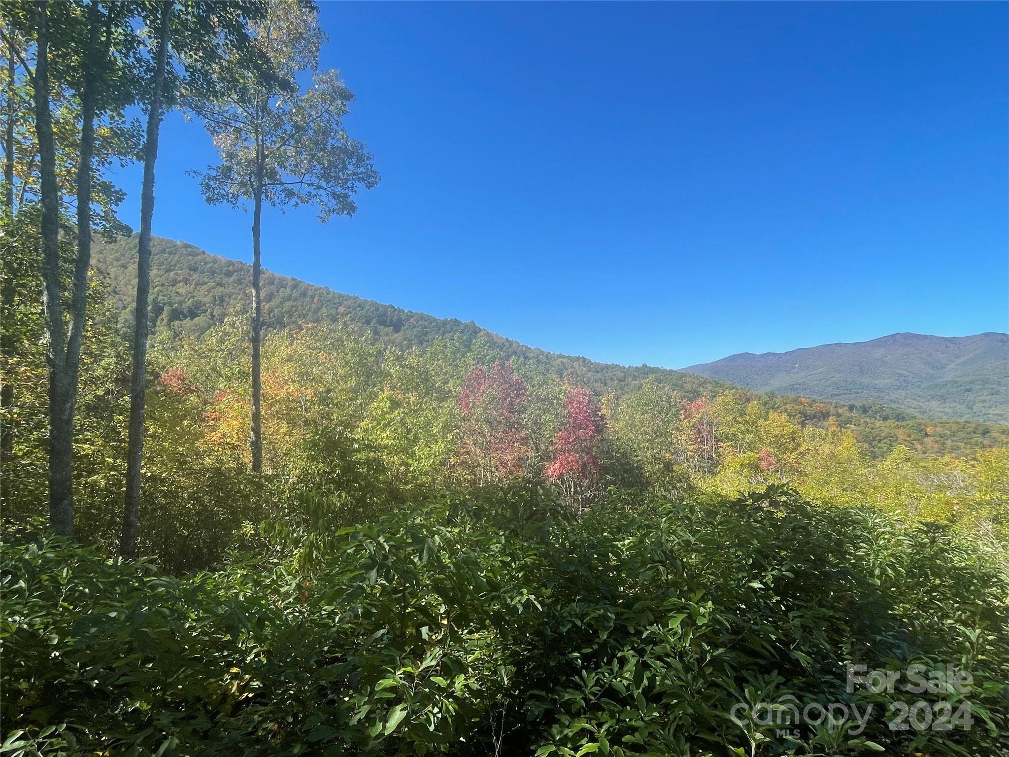 Balsam Mountain Preserve - Land