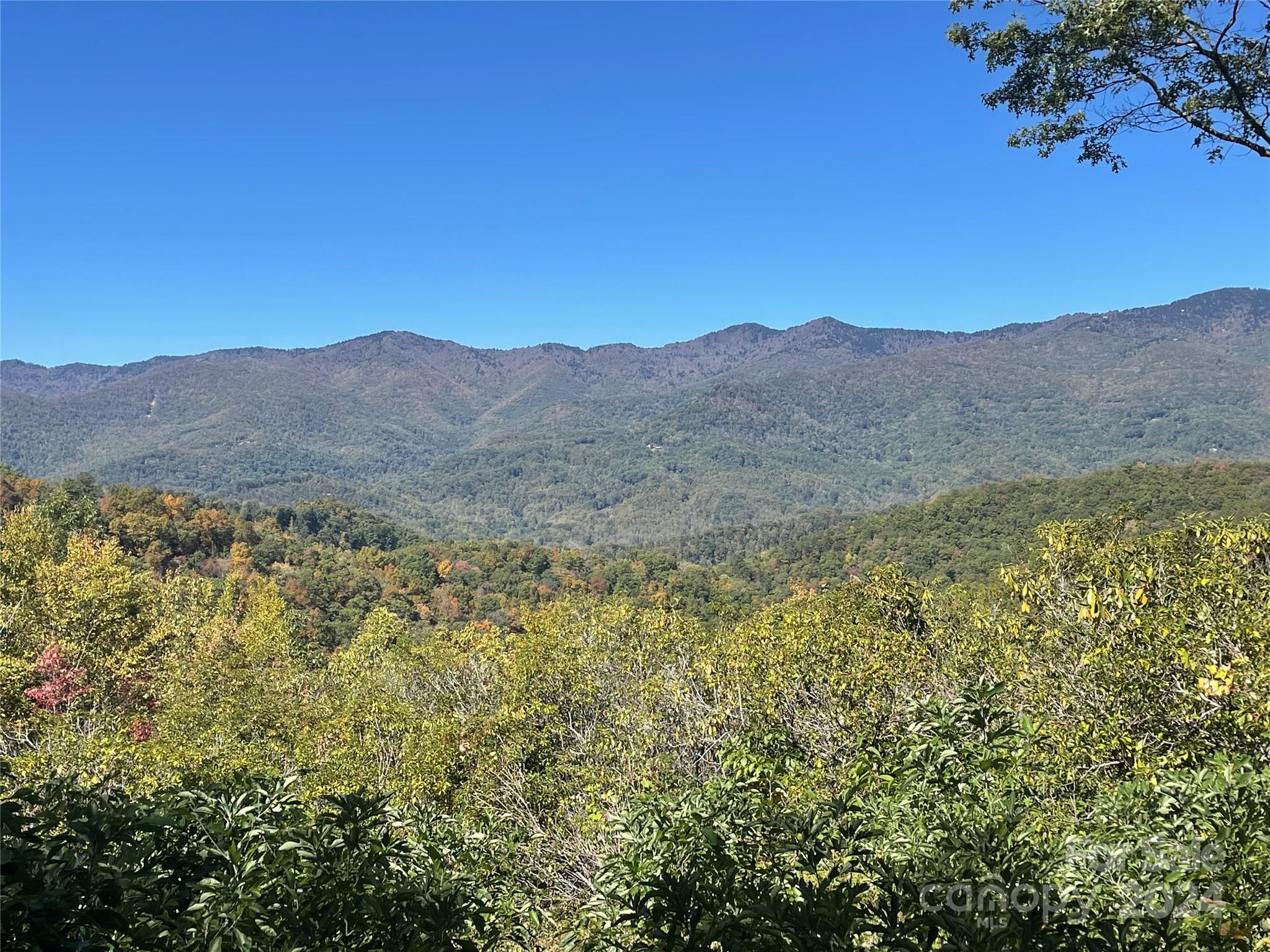 Balsam Mountain Preserve - Land