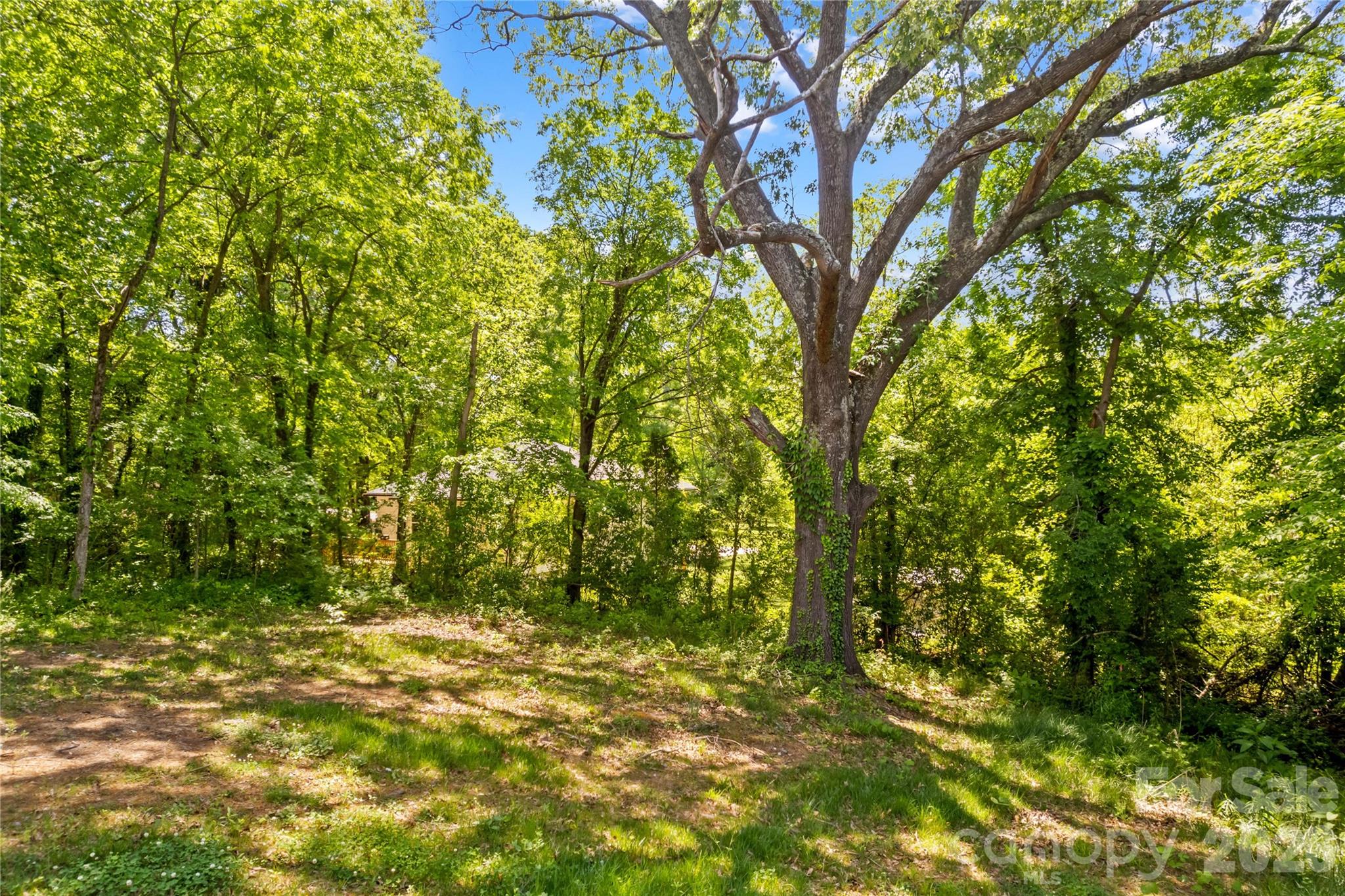 Hamilton Heights - Residential