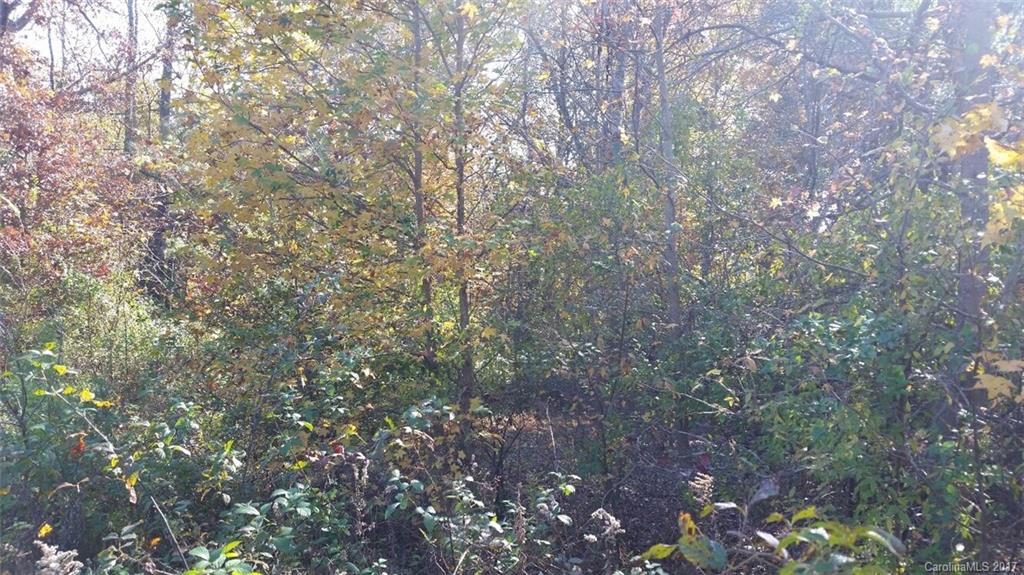 Carolina Coves - Land