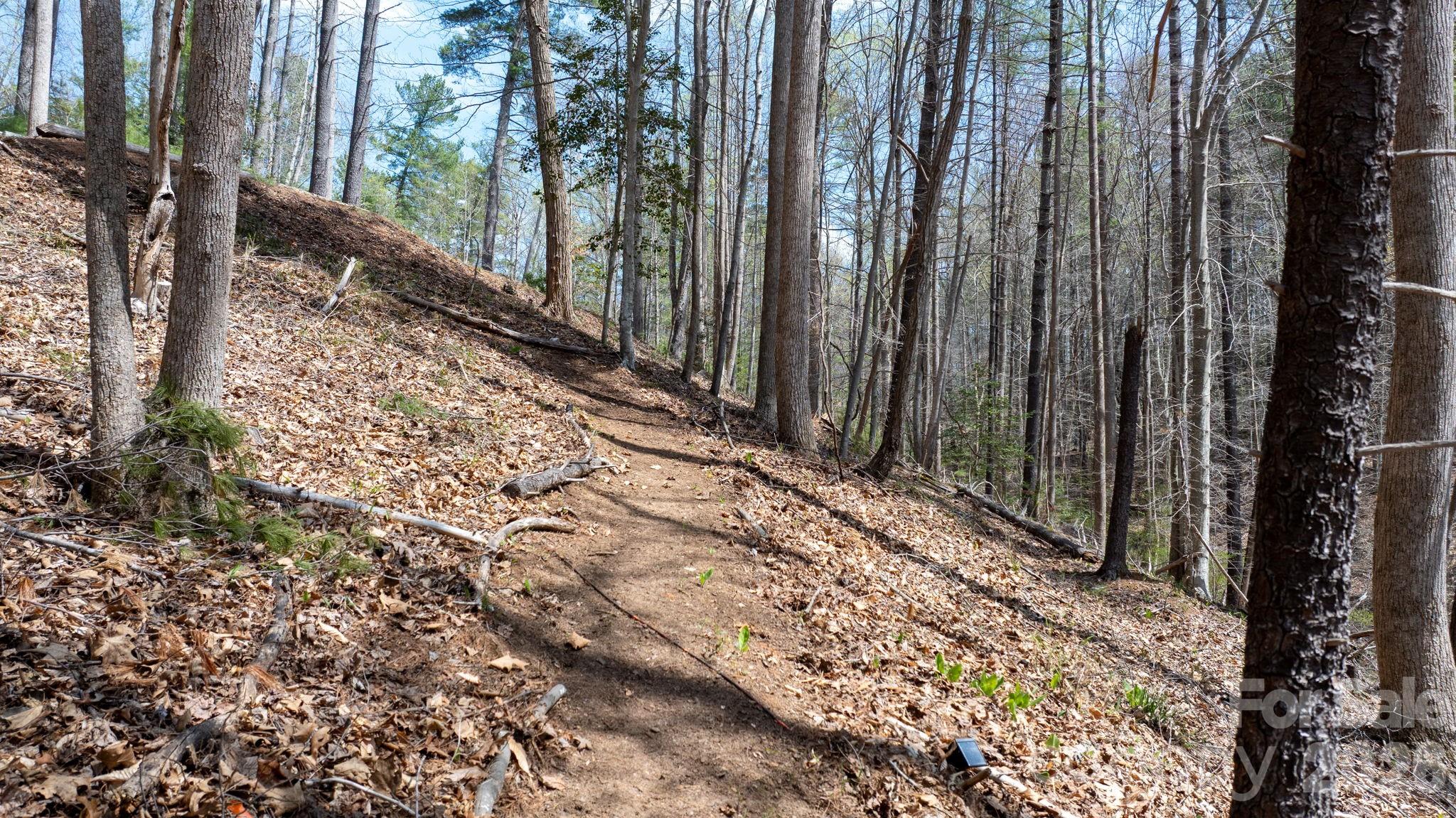 The Arbor at Lake James - Land