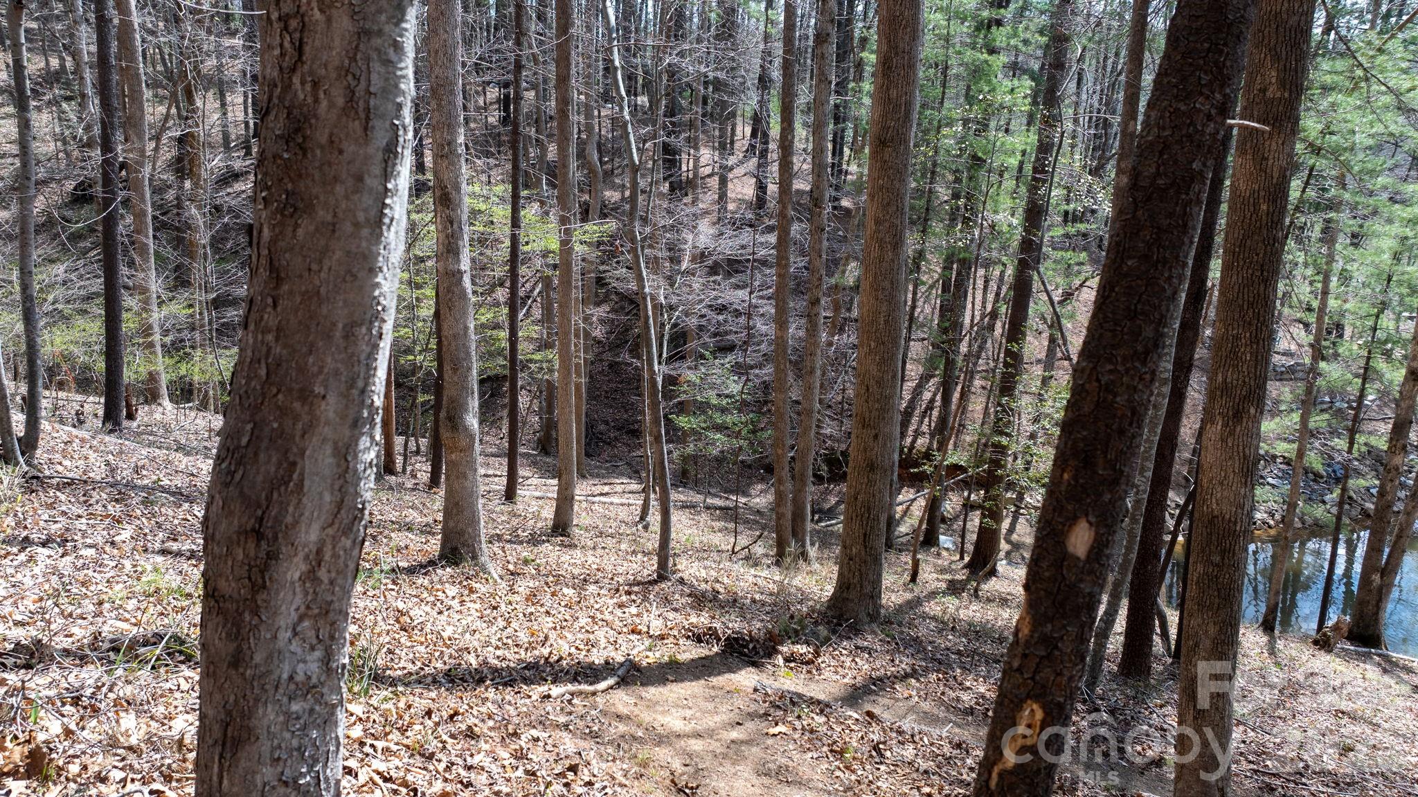 The Arbor at Lake James - Land