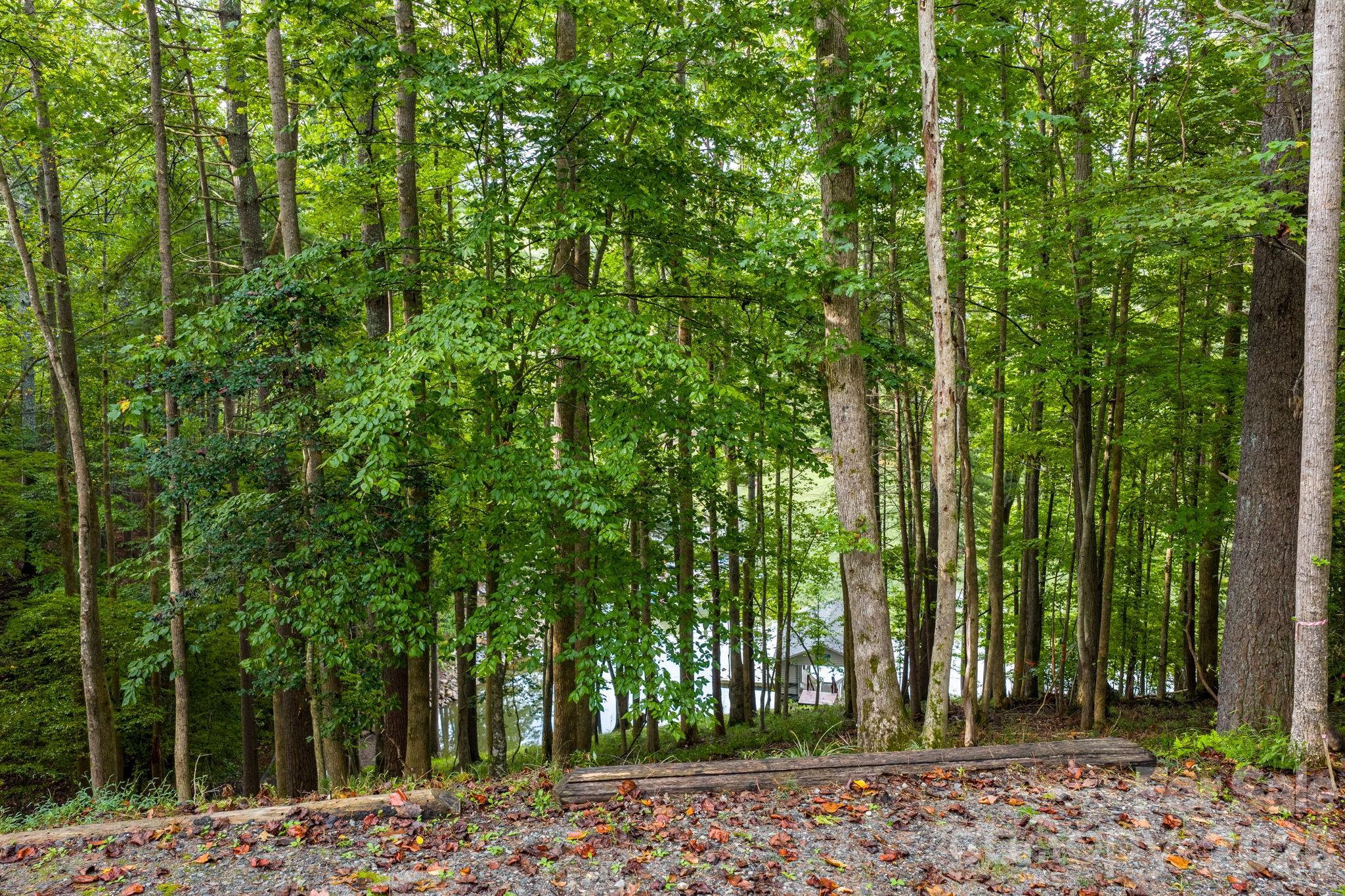 The Arbor at Lake James - Land