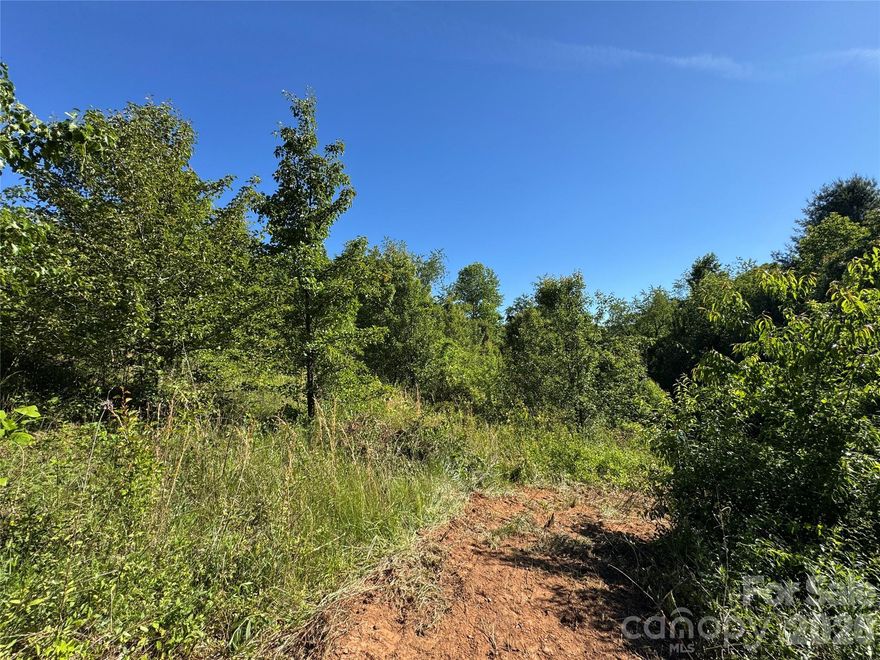 Nestled in a peaceful Candler community just minutes from the lively Haywood Road scene and only 15 minutes to downtown Asheville, this beautiful property offers the perfect balance of privacy and convenience. Whether you are envisioning a dream home, second home, or even multiple homesites, the possibilities here are abundant on this 1.7 acre lot.  Paths have already been cut into the property, making it easy to explore and take in the potential building sites. According to county information, the property may be subdividable, though interested parties should confirm any intended use or development plans with the county.
