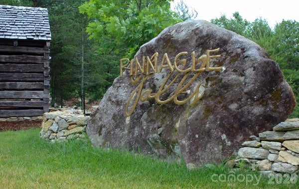 117 W HUCKLEBERRY RD, HENDERSONVILLE, NC 28792 - Image f5bb46293ec2e59d4a7e8d1190f49be7/1685019295