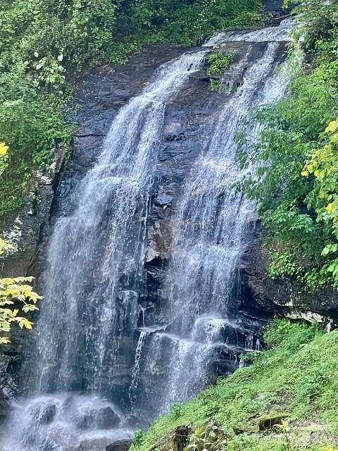 0 Shoal Ridge Lane 161.95+/- Acres