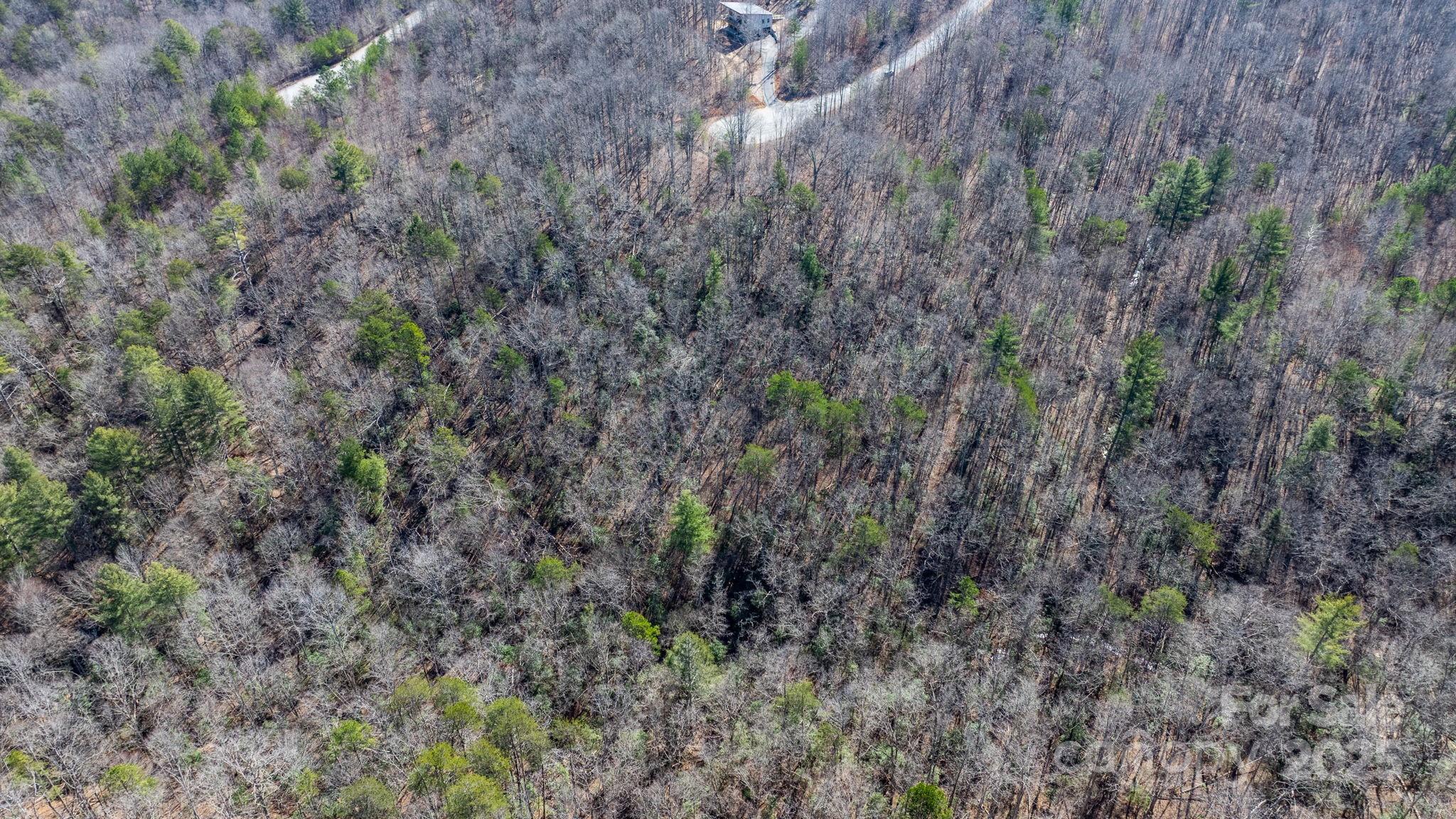 Blackberry Creek - Land