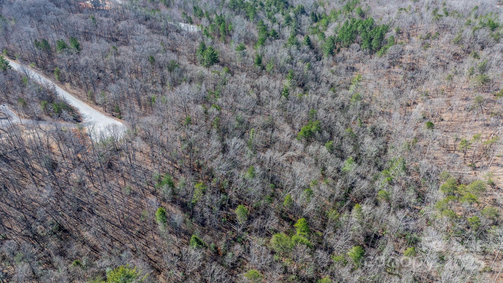 Blackberry Creek - Land