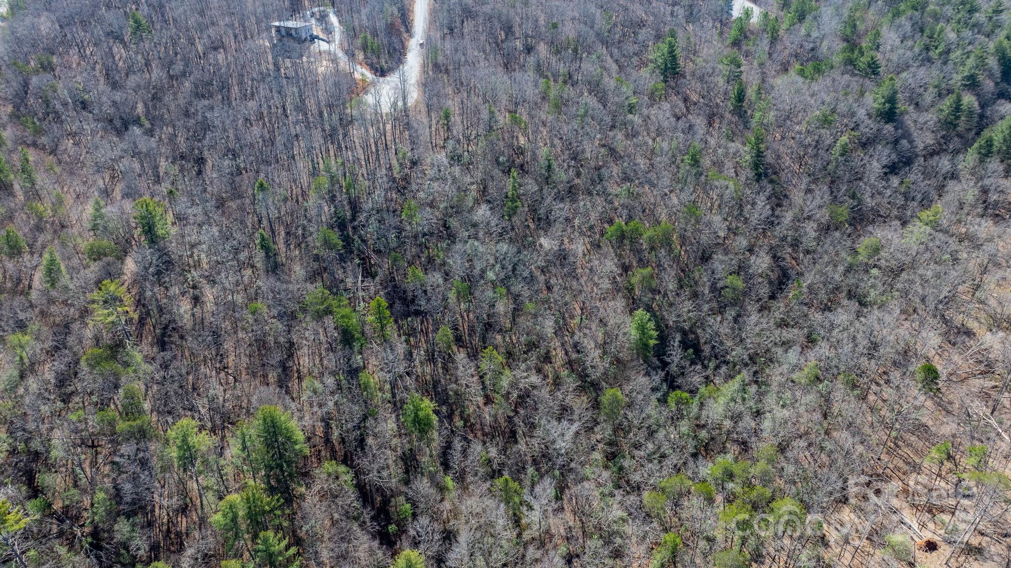 Blackberry Creek - Land