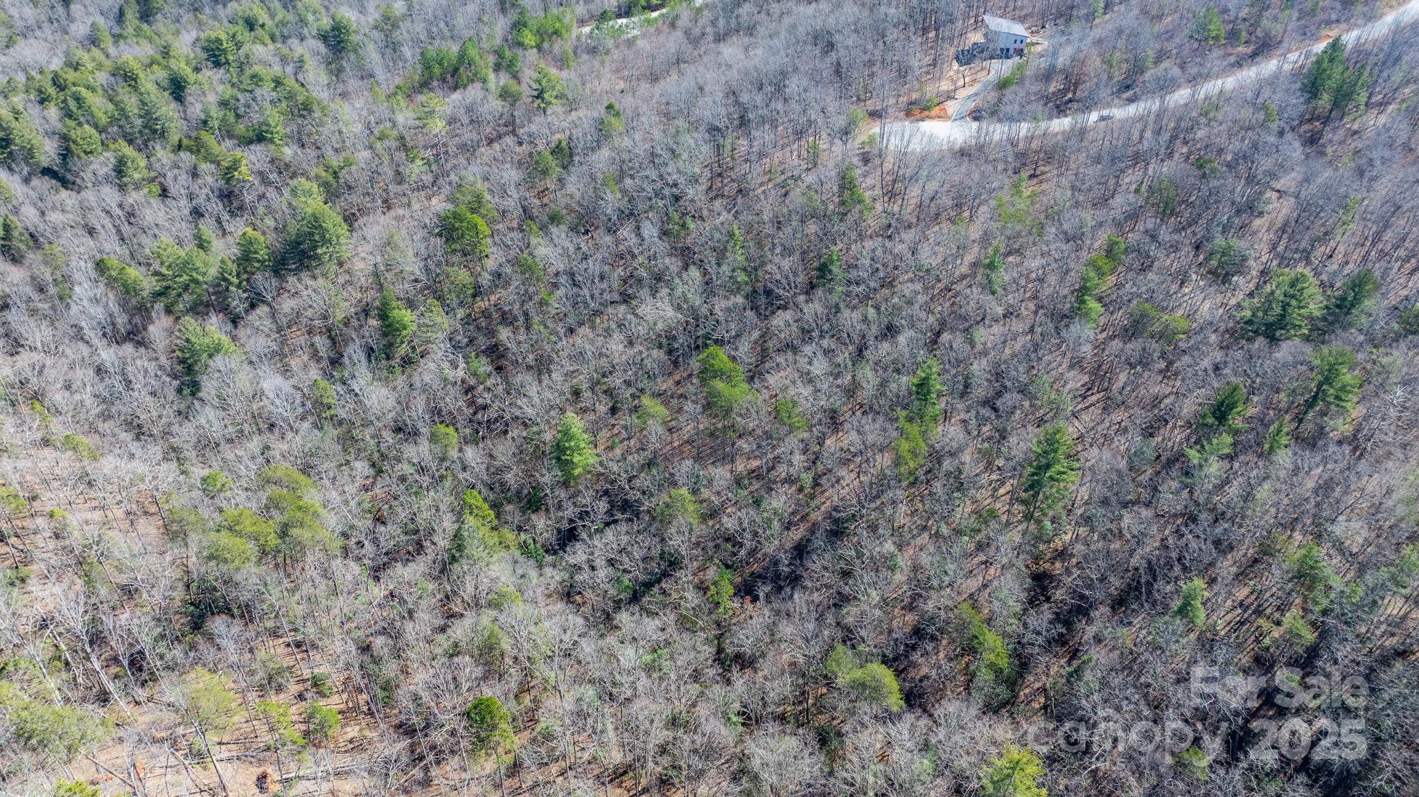 Blackberry Creek - Land