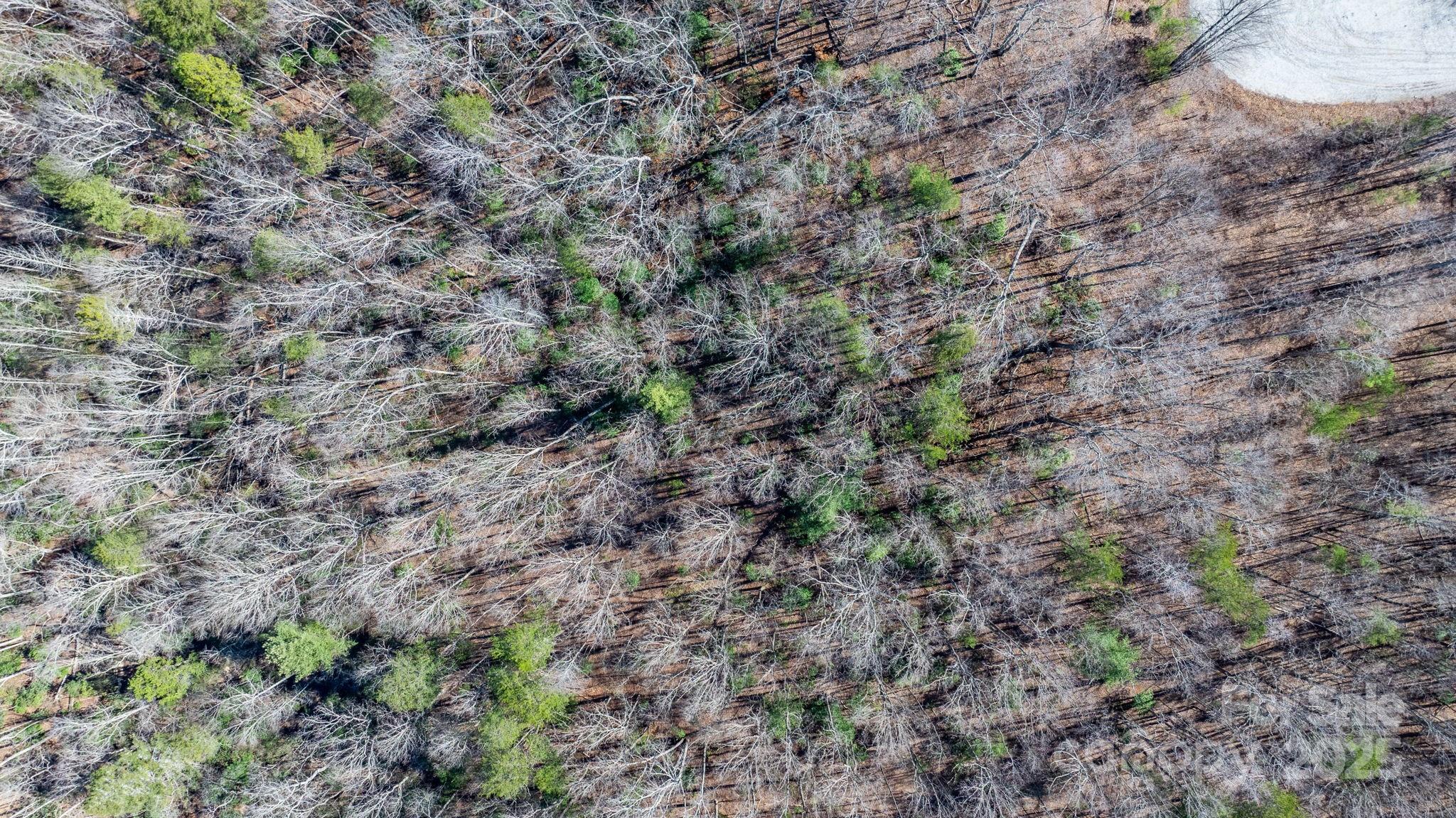 Blackberry Creek - Land