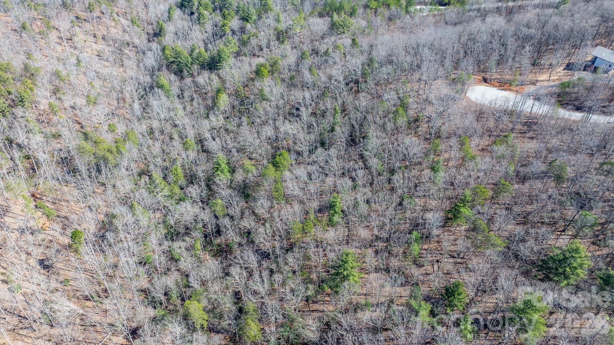 Blackberry Creek - Land