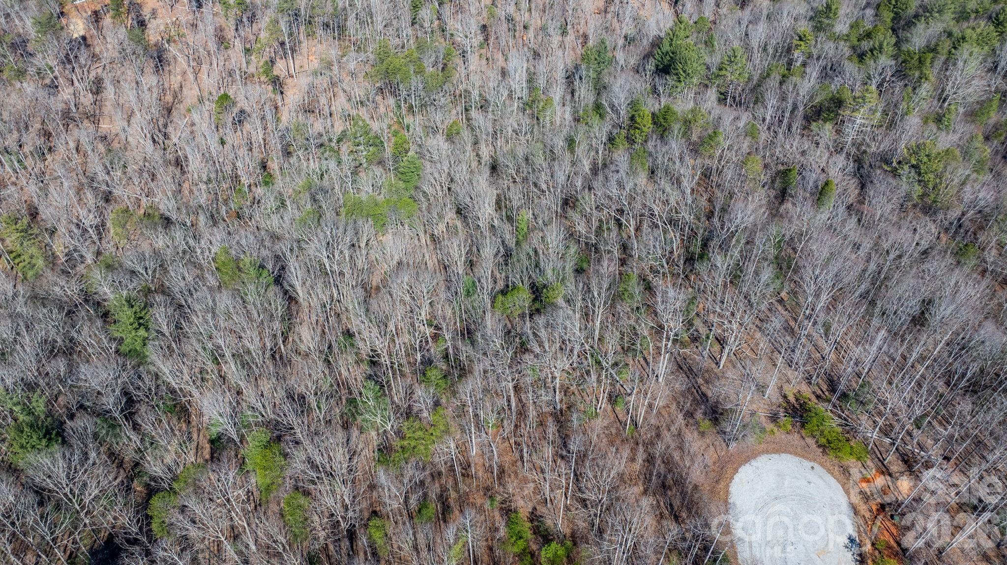 Blackberry Creek - Land