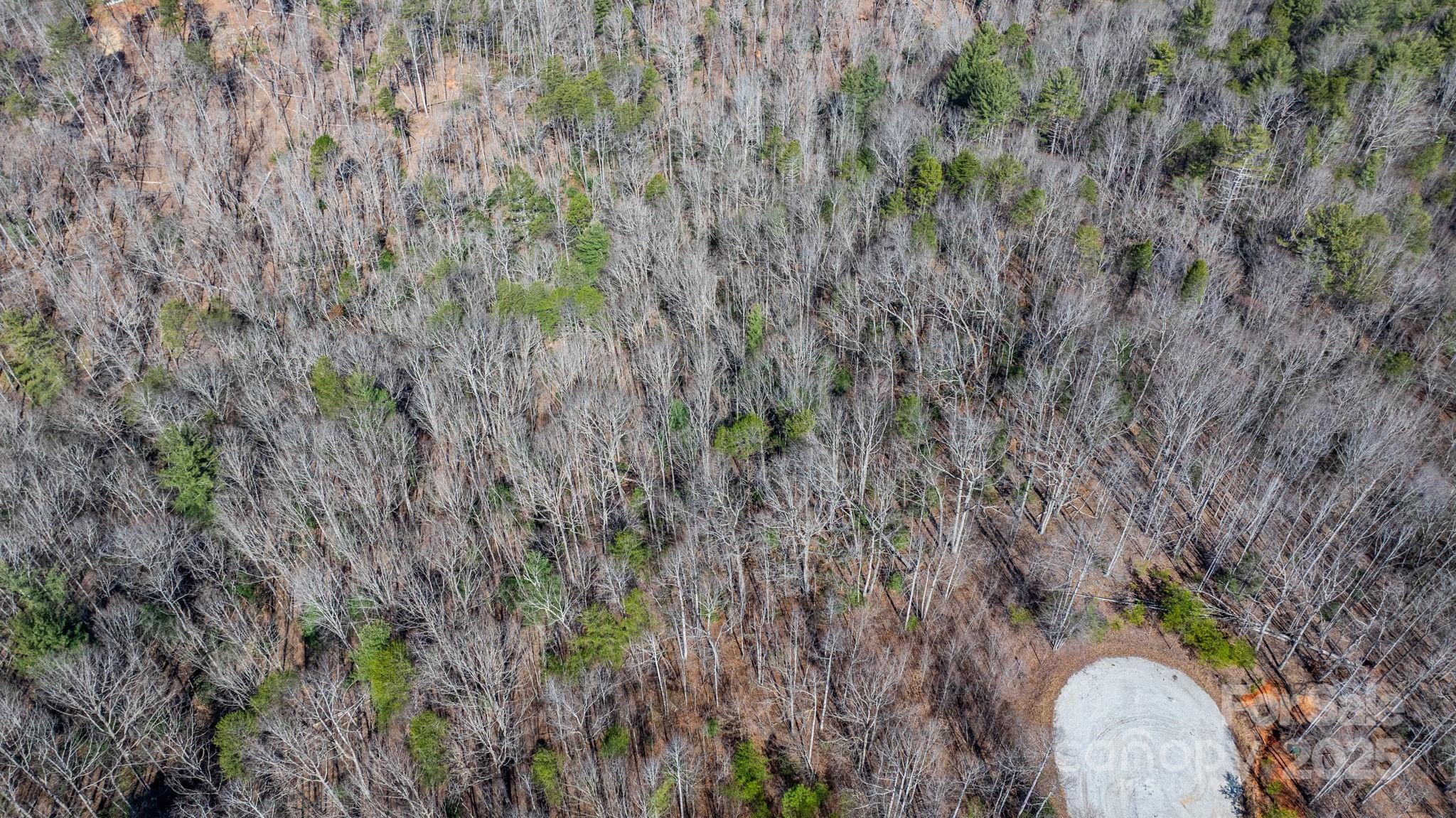 Blackberry Creek - Land