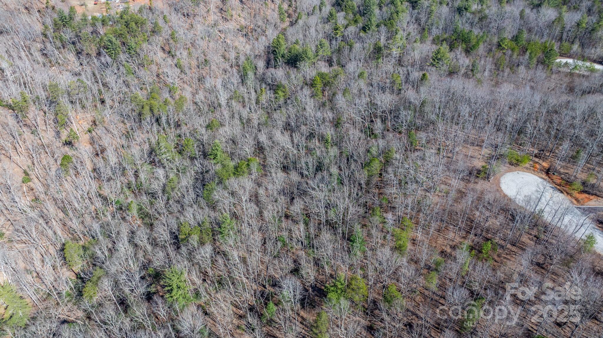 Blackberry Creek - Land