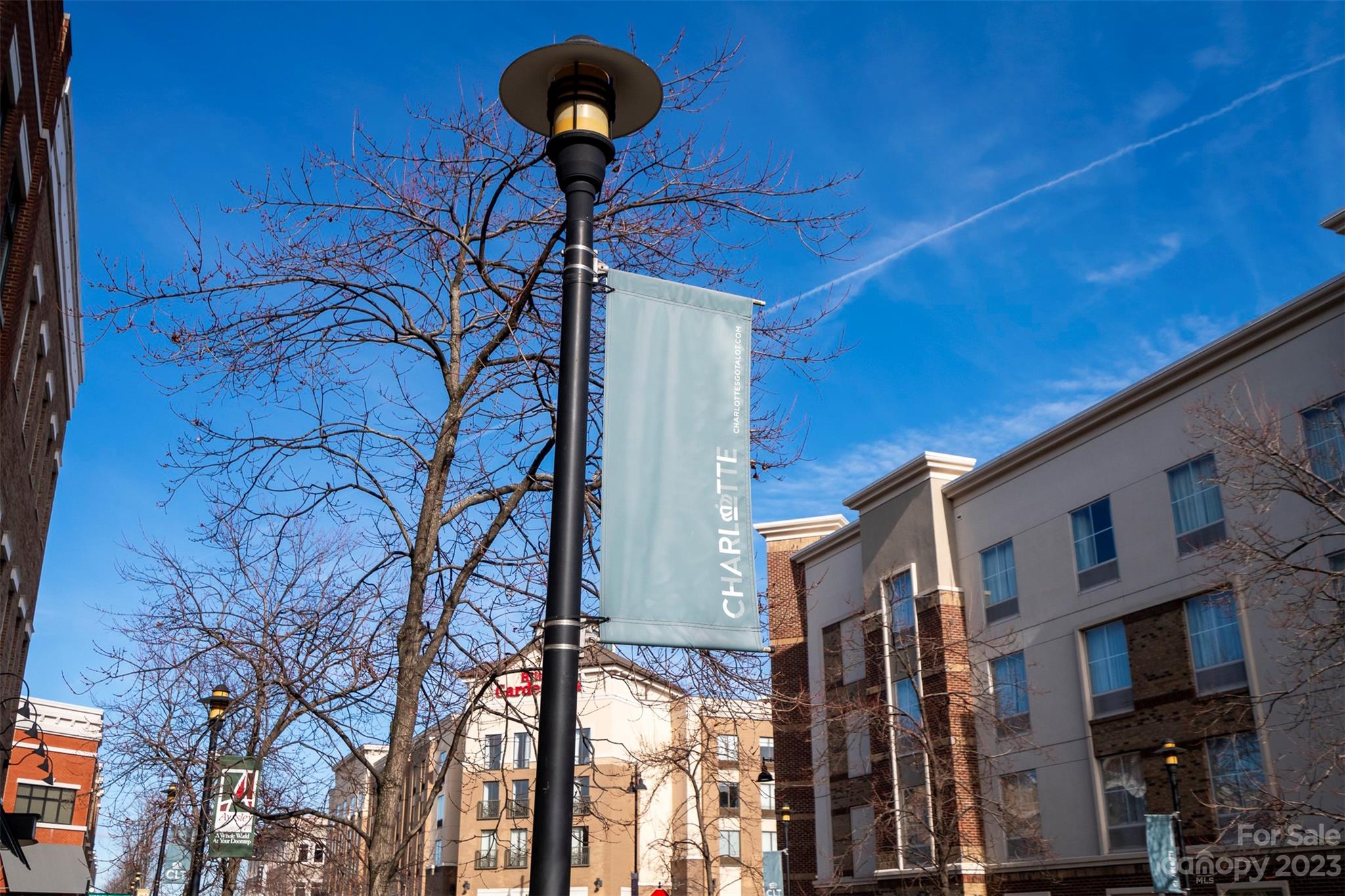 The Avenues at Ayrsley - Residential