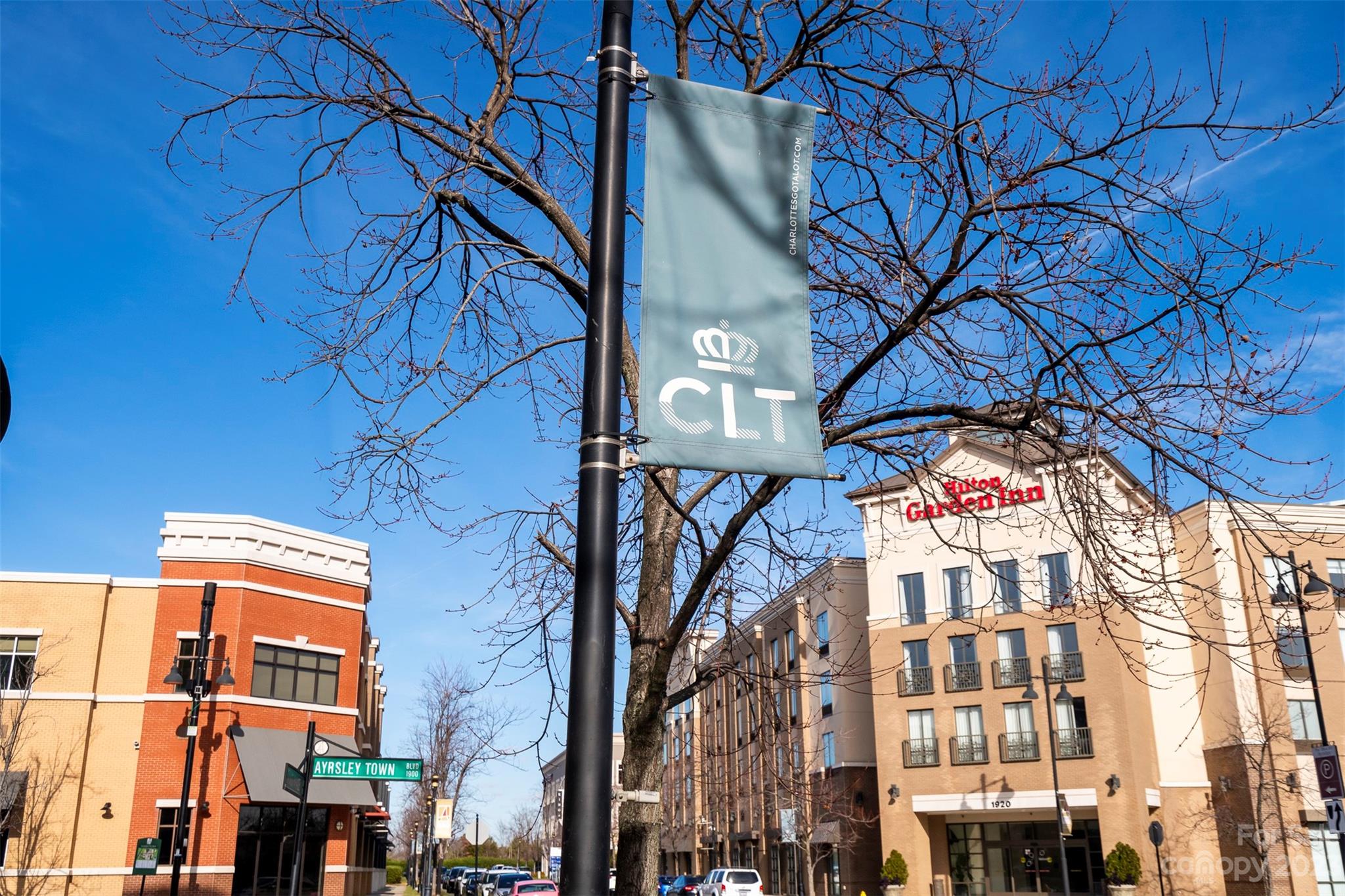 The Avenues at Ayrsley - Residential