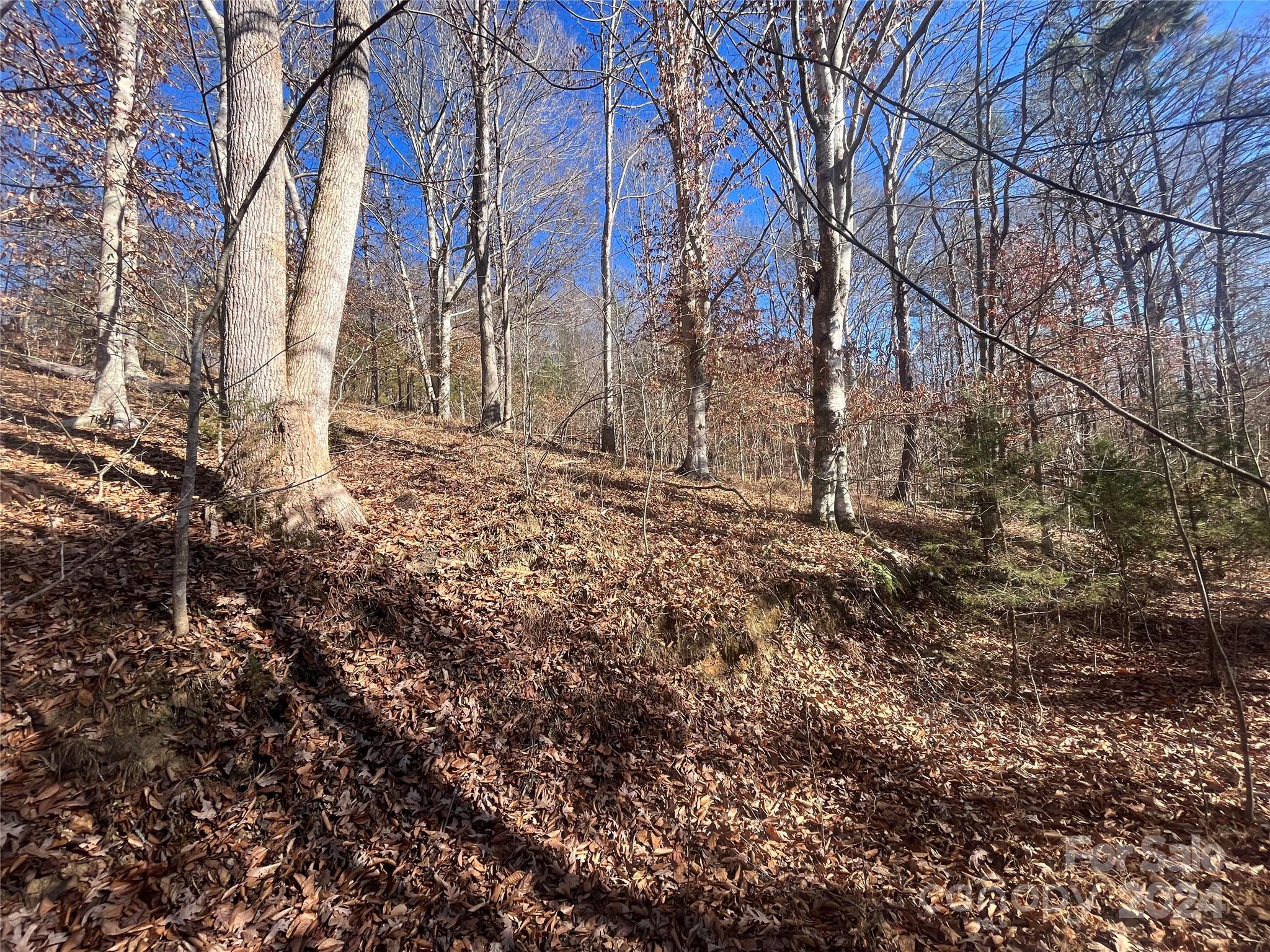 TBD Cross Creek Drive