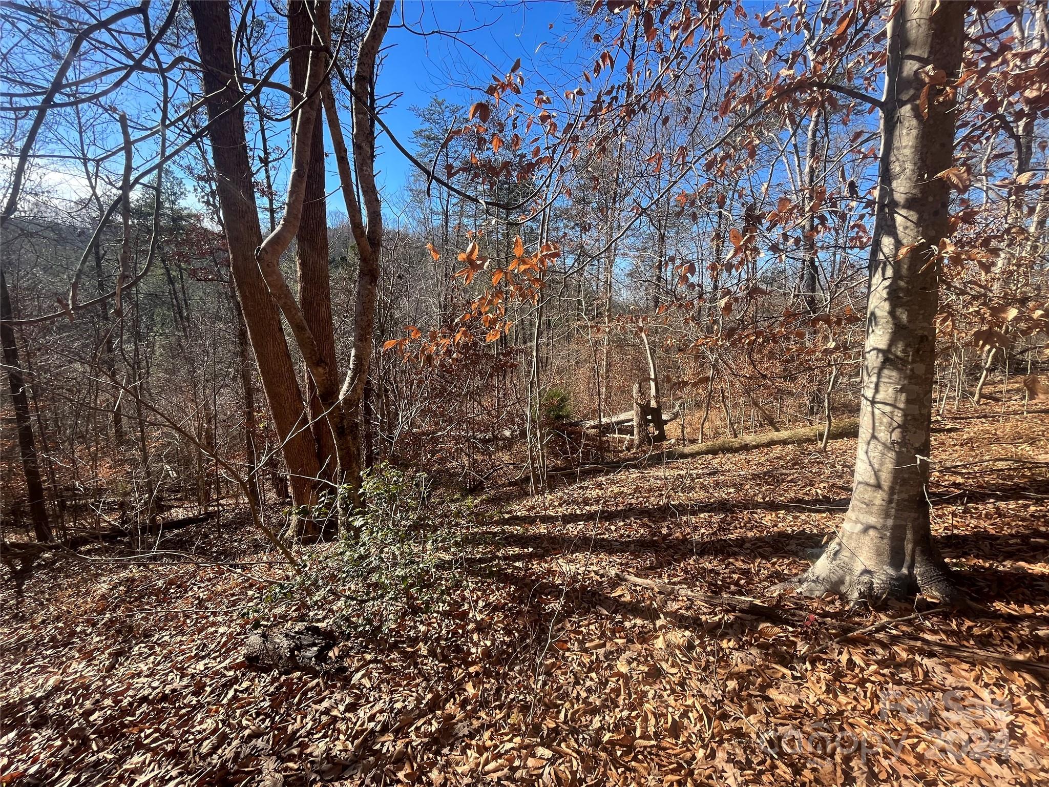 TBD Cross Creek Drive