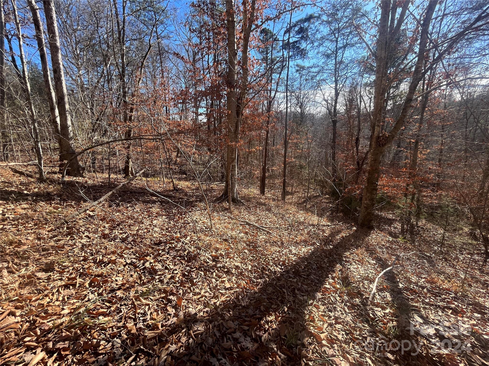 TBD Cross Creek Drive