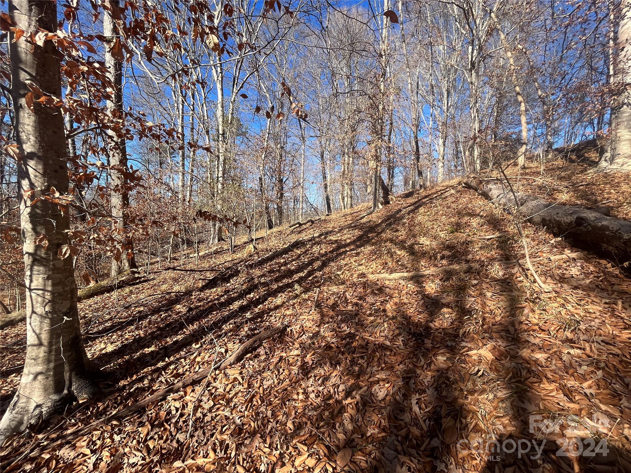 TBD Cross Creek Drive