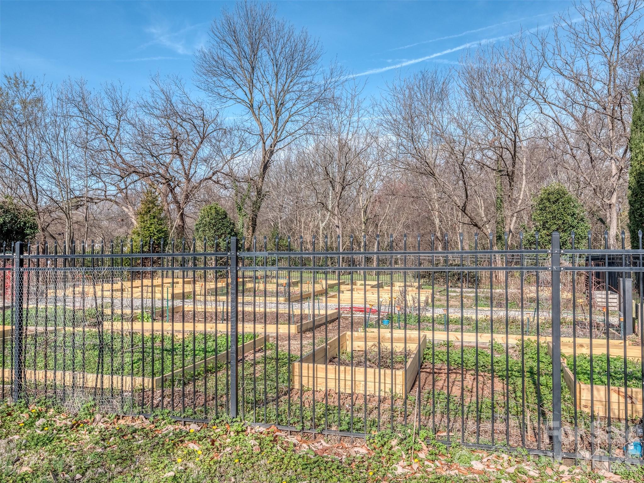 First Row Condominium - Residential