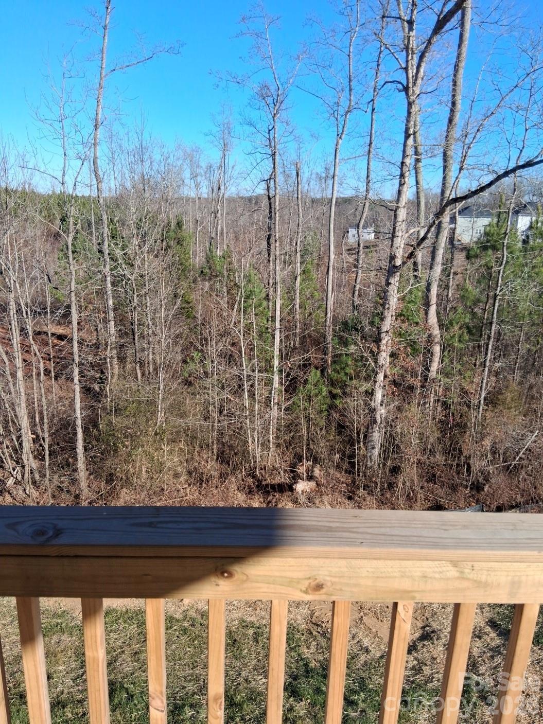 186 Mountain Island Drive 12