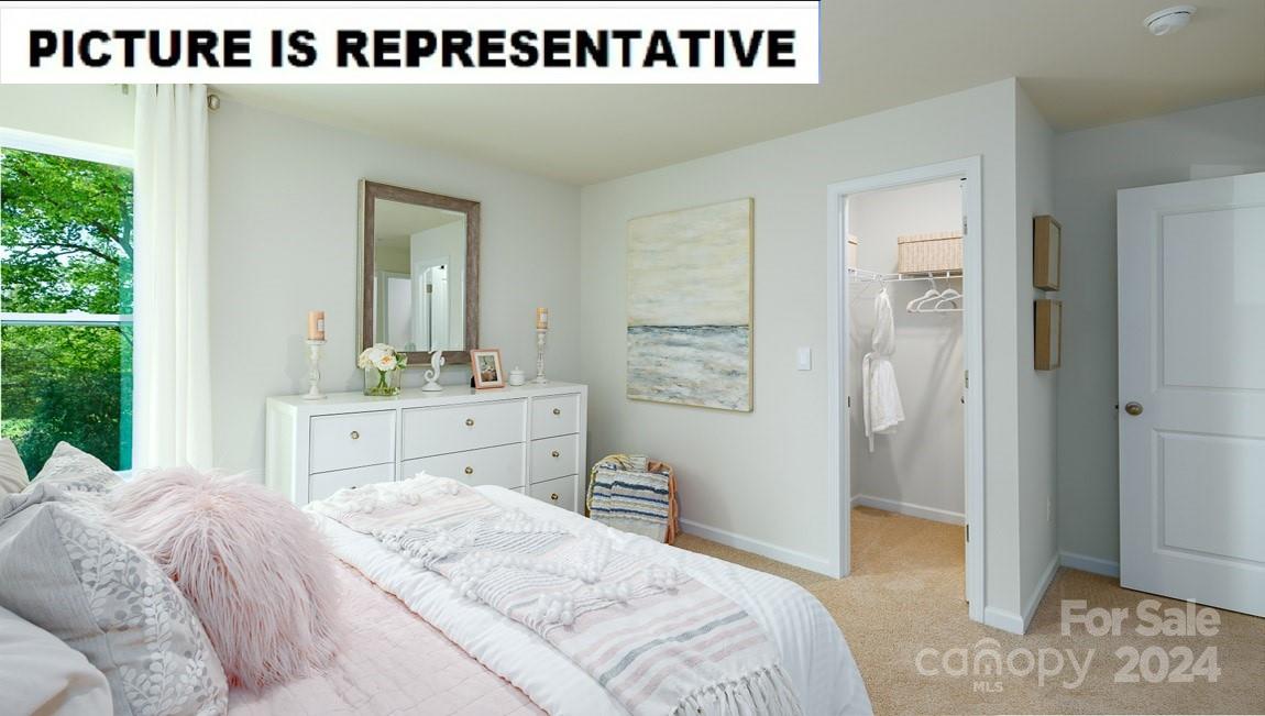 Calvin Creek - Residential