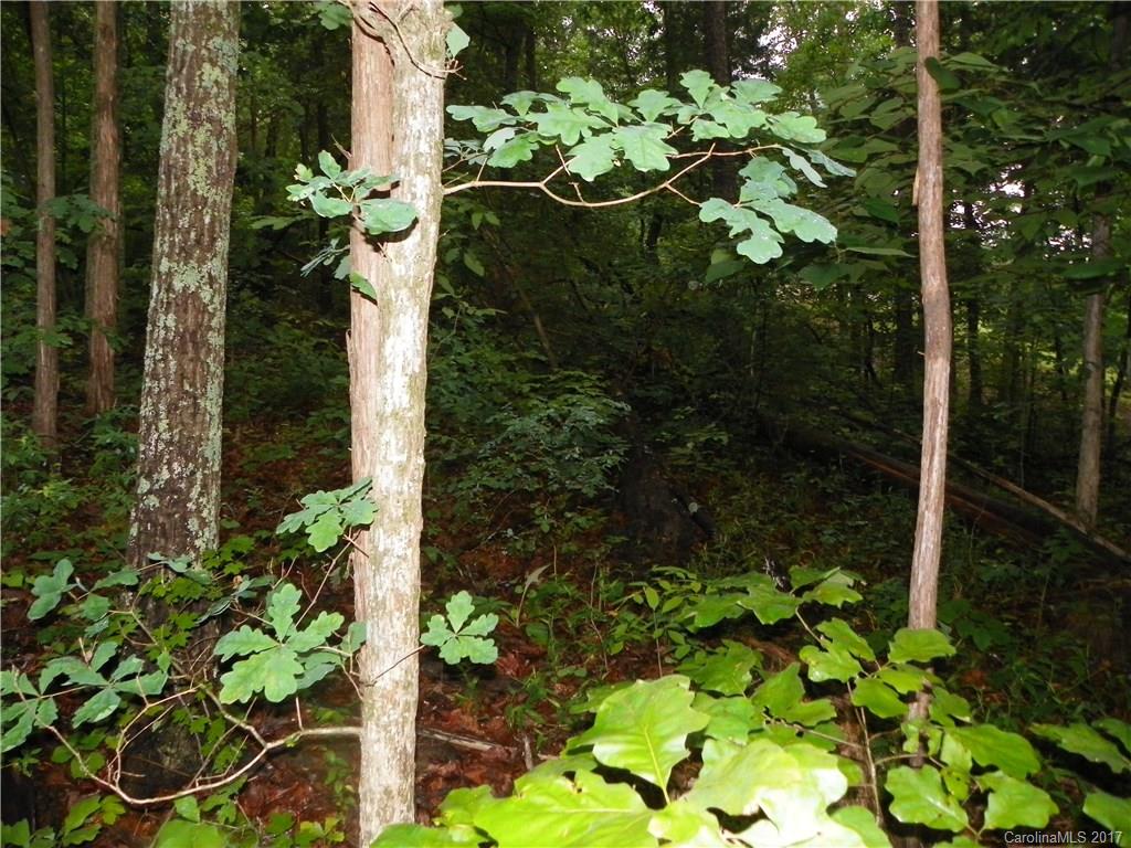 Somerset At Autumn Cove - Land