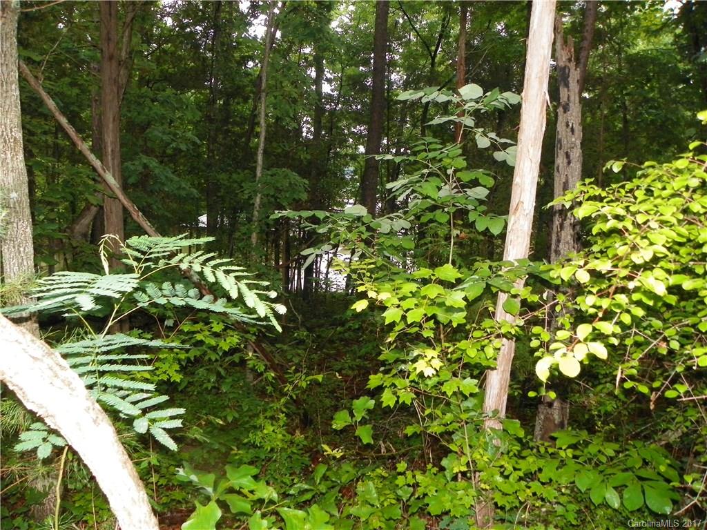 Somerset At Autumn Cove - Land