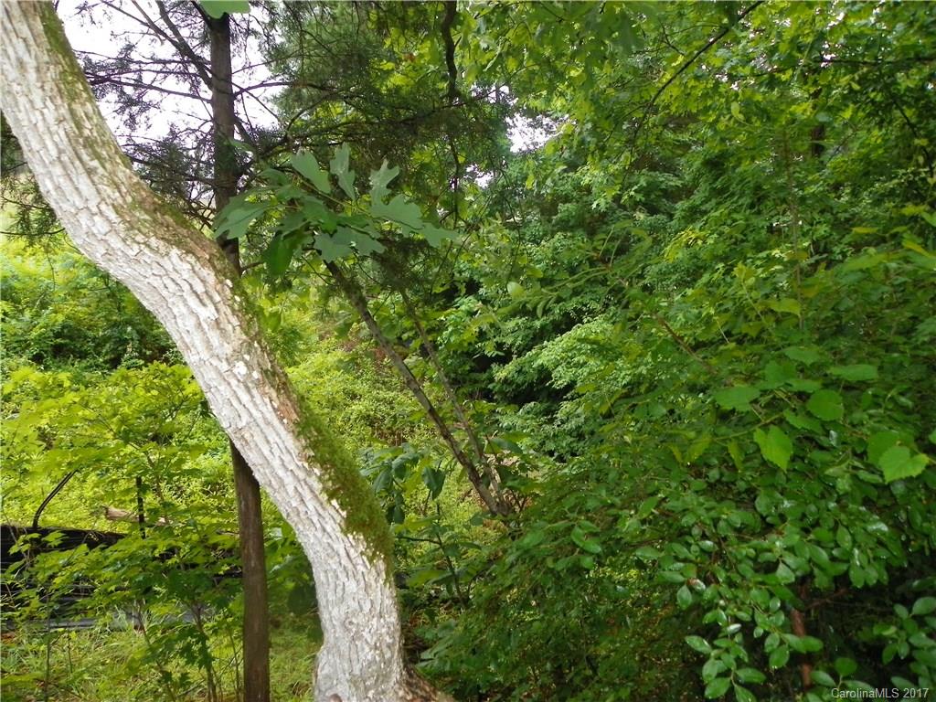 Somerset At Autumn Cove - Land