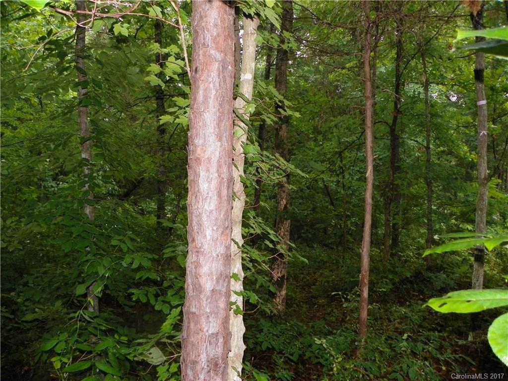 Somerset At Autumn Cove - Land