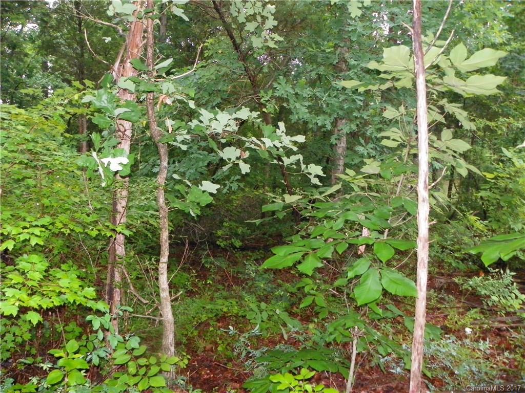 Somerset At Autumn Cove - Land