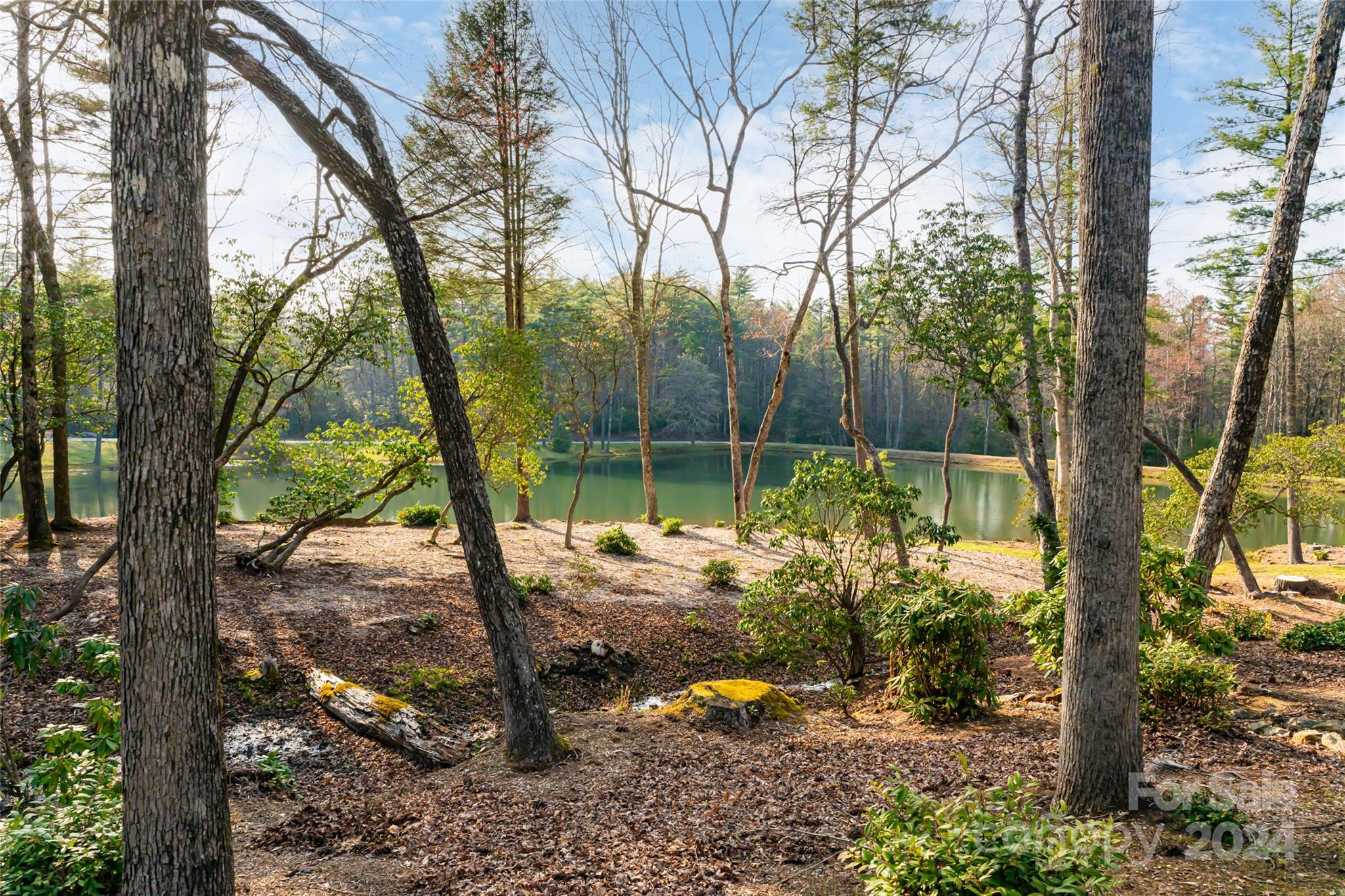 Stones Lake - Residential