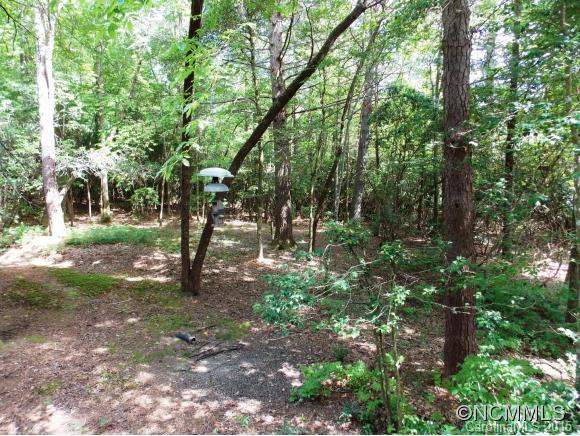 Connestee Falls - Residential