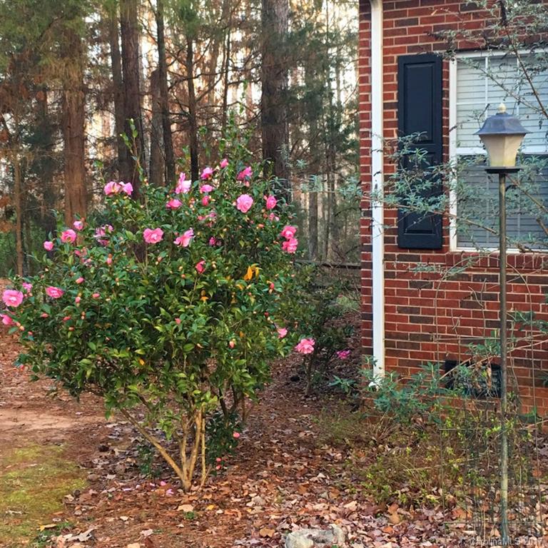 Cherry Hills - Residential