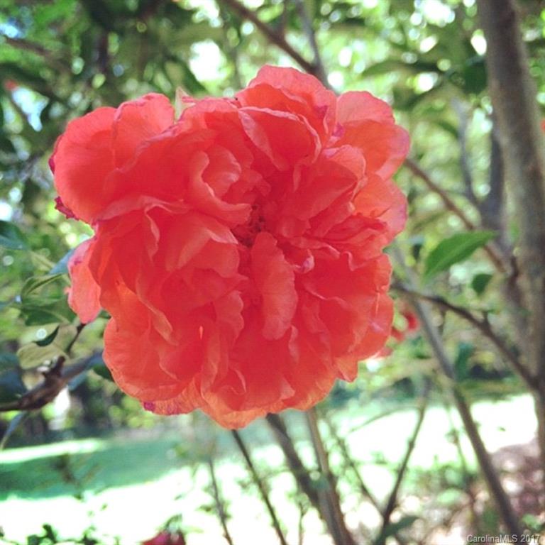 Cherry Hills - Residential