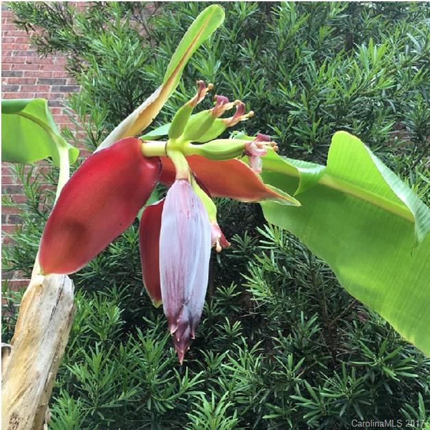 Cherry Hills - Residential